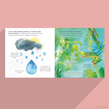 Small, Sparkling Raindrop: A fact-filled picture book about the water cycle with a large fold-out (ages 4-8) (Start Small, Think Big) - Mary Auld [KSIĄŻKA]