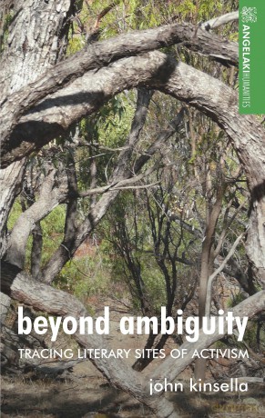 Beyond Ambiguity: Tracing Literary Sites of Activism (Angelaki Humanities) - John Kinsella [KSIĄŻKA]