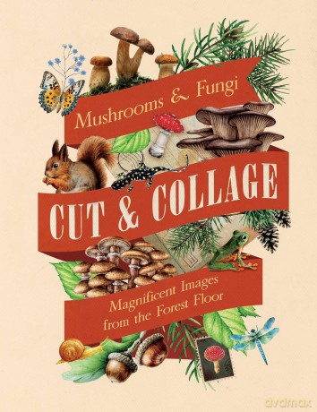 Cut and Collage Mushrooms and Fungi: Magnificent Images From the Forest Floor - Insight Editions [KSIĄŻKA]