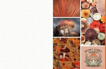 Cut and Collage Mushrooms and Fungi: Magnificent Images From the Forest Floor - Insight Editions [KSIĄŻKA]