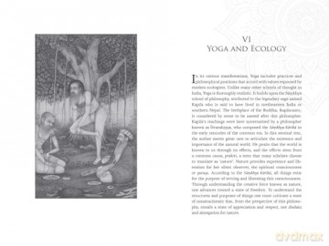 Embodied Ecology: Yoga and the Environment (OCHS) [KSIĄŻKA]