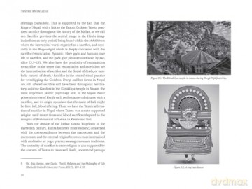 Tantric Knowledge: Philosophy, History, Practice (OCHS) - Gavin Flood [KSIĄŻKA]