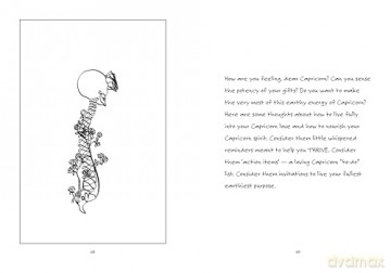 Capricorn: A Love Letter - Heidi Rose Robbins [KSIĄŻKA]