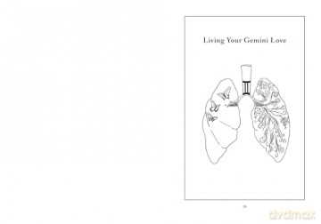 Gemini: A Love Letter - Heidi Rose Robbins [KSIĄŻKA]