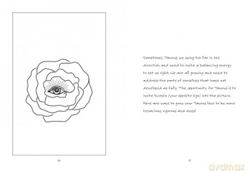 Taurus: A Love Letter - Heidi Rose Robbins [KSIĄŻKA]