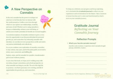 The Art of The High Life: Unlocking Creativity, Connection, and Relaxation with That High Couple (Rituals for Happiness) - Clark Campbell [KSIĄŻKA]