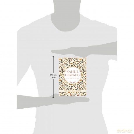 Kahlil Gibrans Little Book of Secrets - Neil Douglas-Klotz Kahili Gibran [KSIĄŻKA]