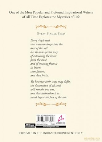 Kahlil Gibrans Little Book of Secrets - Neil Douglas-Klotz Kahili Gibran [KSIĄŻKA]