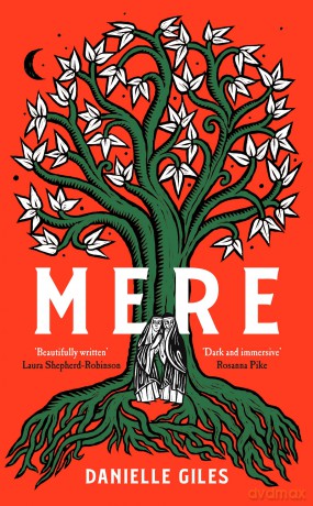 Mere: The Darkly Atmospheric Historical Fiction Debut - Danielle Giles [KSIĄŻKA]