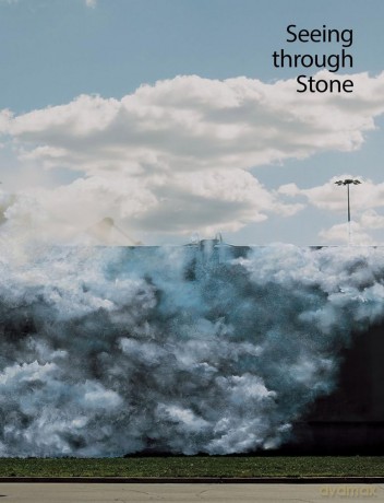 Seeing through Stone - Gina Dent [KSIĄŻKA]