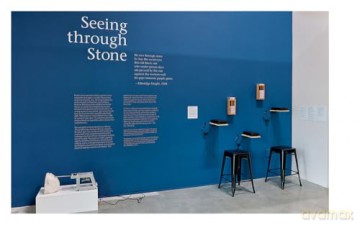 Seeing through Stone - Gina Dent [KSIĄŻKA]