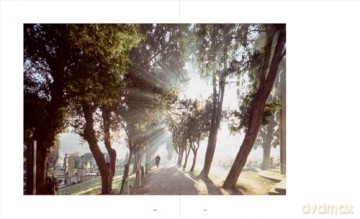 Venice and Its Lagoon: Caring for the Environment - Montanaro Giovanni [KSIĄŻKA]
