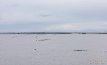 Venice and Its Lagoon: Caring for the Environment - Montanaro Giovanni [KSIĄŻKA]