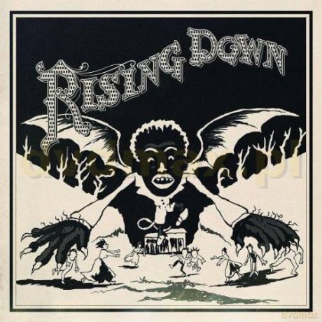 The Roots: Rising Down [CD]
