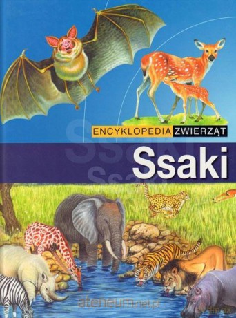 Encyklopedia zwierząt - Ssaki [KSIĄŻKA]