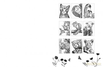 Colour and Discover: The Cute Ones: 28 Hidden Pictures to Reveal - Buster Books [KSIĄŻKA]