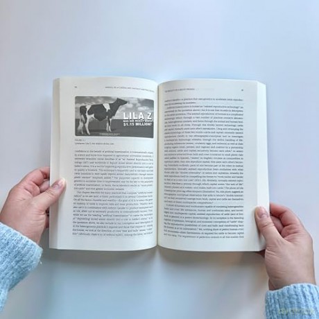 Fragilities: Essays on the Politics, Ethics, and Aesthetics of Maintenance and Repair (Infrastructures) - Fernando Dominguez Rubio [KSIĄŻKA]