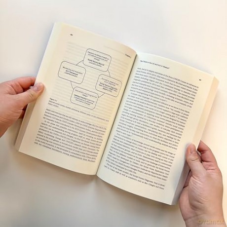 Good Will Corrupting: Social Norms and the Trouble of Intervention - Adam Moe Fejerskov [KSIĄŻKA]
