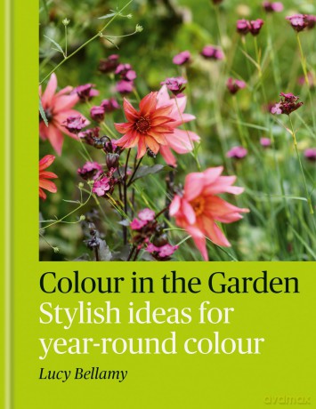 Colour in the Garden: Stylish ideas for year-round colour - Lucy Bellamy [KSIĄŻKA]
