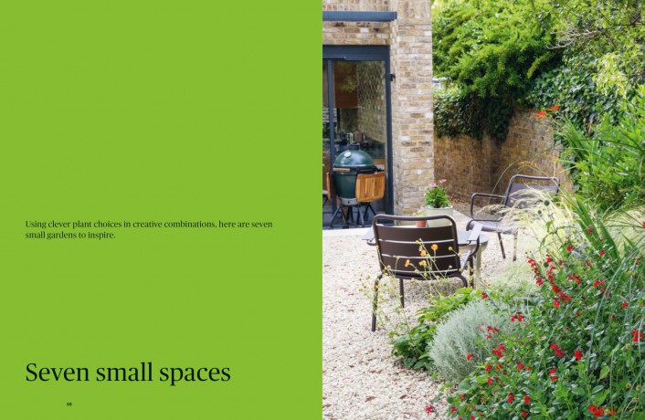 Colour in the Garden: Stylish ideas for year-round colour - Lucy Bellamy [KSIĄŻKA]