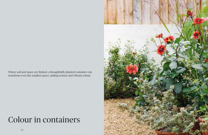 Colour in the Garden: Stylish ideas for year-round colour - Lucy Bellamy [KSIĄŻKA]