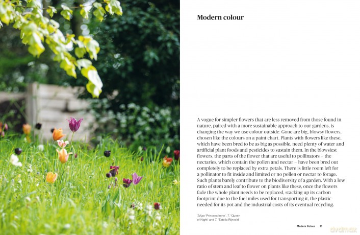 Colour in the Garden: Stylish ideas for year-round colour - Lucy Bellamy [KSIĄŻKA]