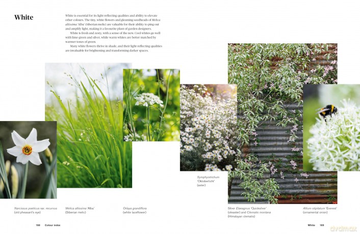 Colour in the Garden: Stylish ideas for year-round colour - Lucy Bellamy [KSIĄŻKA]