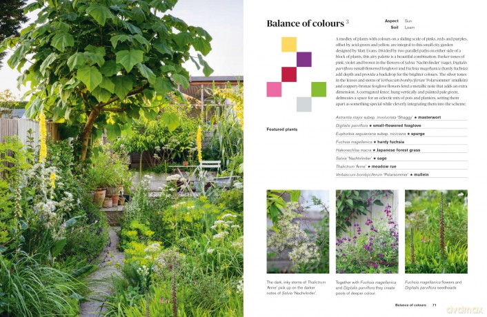 Colour in the Garden: Stylish ideas for year-round colour - Lucy Bellamy [KSIĄŻKA]