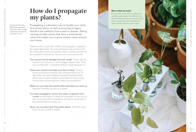 How to Make Your Houseplants Love You: Expert Answers for Plant Parents - Joe Bagley [KSIĄŻKA]