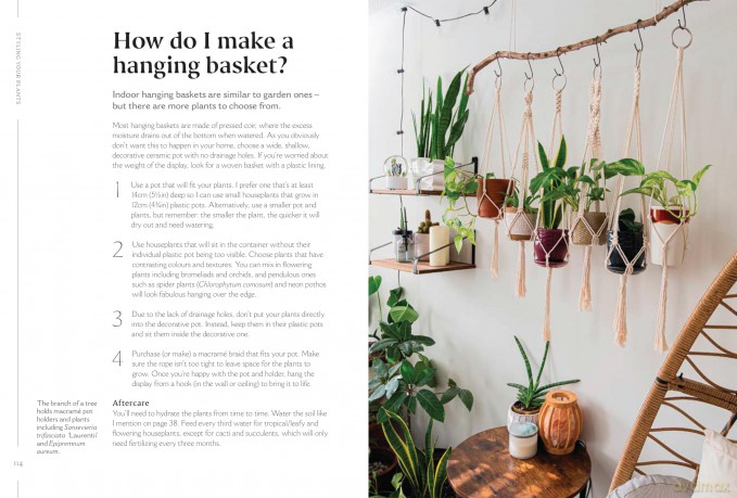 How to Make Your Houseplants Love You: Expert Answers for Plant Parents - Joe Bagley [KSIĄŻKA]