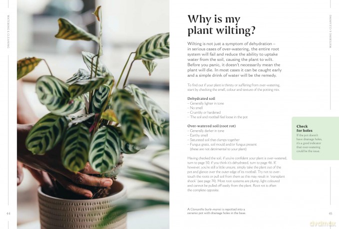 How to Make Your Houseplants Love You: Expert Answers for Plant Parents - Joe Bagley [KSIĄŻKA]