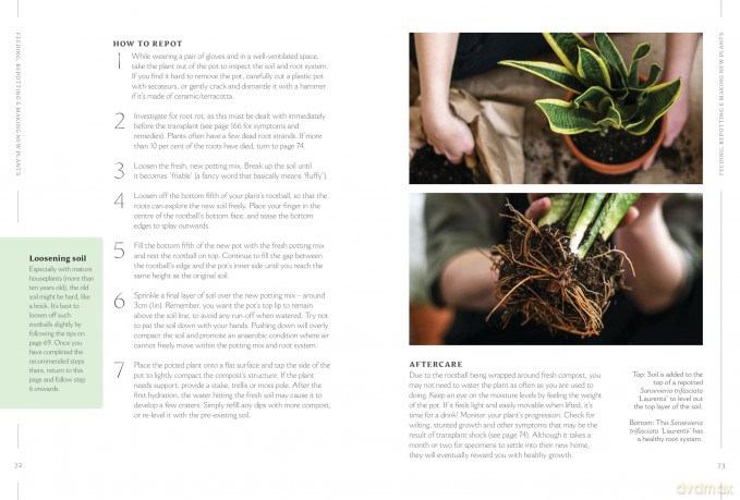 How to Make Your Houseplants Love You: Expert Answers for Plant Parents - Joe Bagley [KSIĄŻKA]