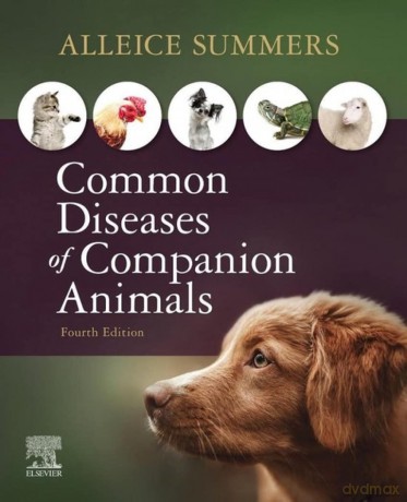 Common Diseases of Companion Animals - Alleice Summers DVM [KSIĄŻKA]