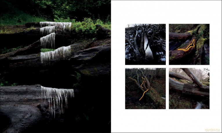 Andy Goldsworthy: Fifty Years - Andy Goldsworthy [KSIĄŻKA]