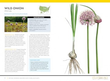 National Geographic Backyard Guide to Edible Wild Plants (National Geographic Backyard Guides) - Mimi Prunella Hernandez [KSIĄŻKA]