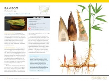 National Geographic Backyard Guide to Edible Wild Plants (National Geographic Backyard Guides) - Mimi Prunella Hernandez [KSIĄŻKA]
