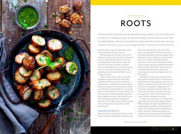 National Geographic Backyard Guide to Edible Wild Plants (National Geographic Backyard Guides) - Mimi Prunella Hernandez [KSIĄŻKA]