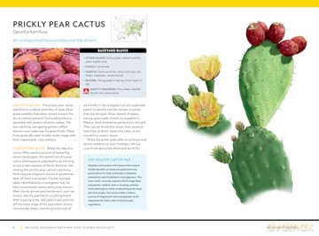 National Geographic Backyard Guide to Edible Wild Plants (National Geographic Backyard Guides) - Mimi Prunella Hernandez [KSIĄŻKA]