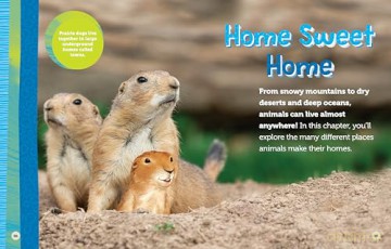 National Geographic Kids Explore! Workbook Pre-K - National Geographic Kids [KSIĄŻKA]