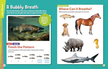 National Geographic Kids Explore! Workbook Pre-K - National Geographic Kids [KSIĄŻKA]