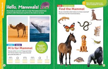 National Geographic Kids Explore! Workbook Pre-K - National Geographic Kids [KSIĄŻKA]