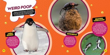 Weirdest Animals on the Planet - National Geographic Kids [KSIĄŻKA]