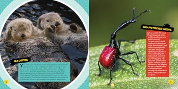 Weirdest Animals on the Planet - National Geographic Kids [KSIĄŻKA]