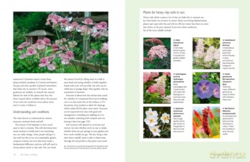 The National Trust Book of Nature-Friendly Gardening: An inspiring and practical guide to greener gardening - National Trust Books [KSIĄŻKA]