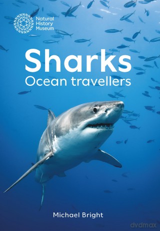 Sharks: Ocean Travellers - Michael Bright [KSIĄŻKA]