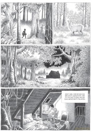 John Muir: To the Heart of Solitude (NBM Comics Biographies) - Lomig [KSIĄŻKA]