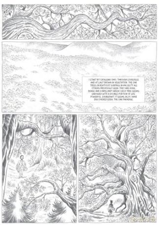 John Muir: To the Heart of Solitude (NBM Comics Biographies) - Lomig [KSIĄŻKA]