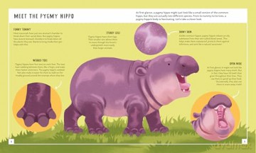 Pygmy Hippo (Young Zoologist): A First Field Guide to Moo Deng and Friends: 12 (Young Zoologist, 12) - Dr Fiona Sach [KSIĄŻKA]