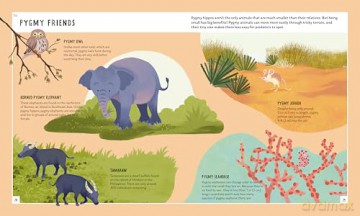 Pygmy Hippo (Young Zoologist): A First Field Guide to Moo Deng and Friends: 12 (Young Zoologist, 12) - Dr Fiona Sach [KSIĄŻKA]