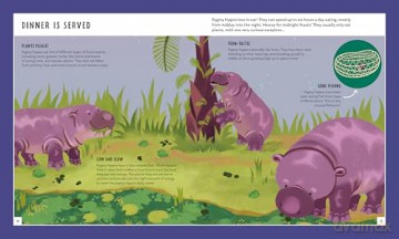 Pygmy Hippo (Young Zoologist): A First Field Guide to Moo Deng and Friends: 12 (Young Zoologist, 12) - Dr Fiona Sach [KSIĄŻKA]